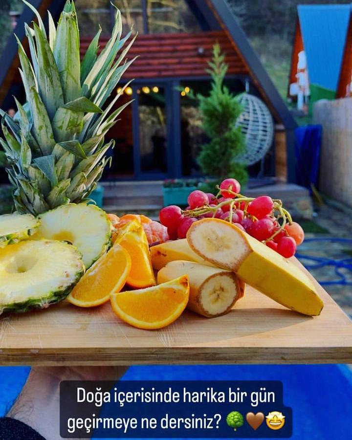 Seyyah Bungalov Sakarya  Eksteriør billede